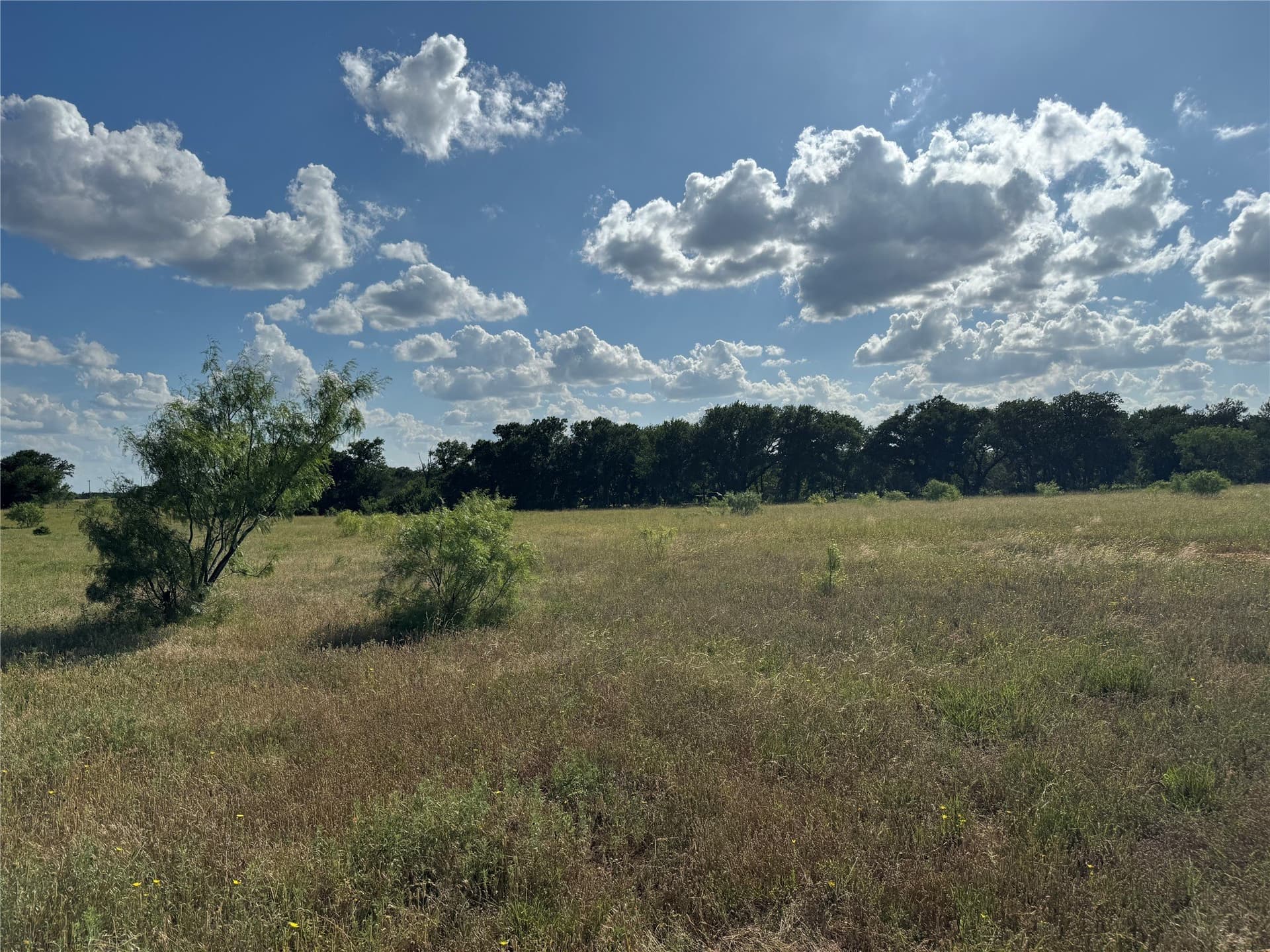 5 acres in Palo Pinto County featured view