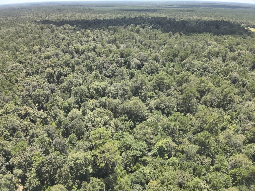 175 acres in Texas County - photo 4