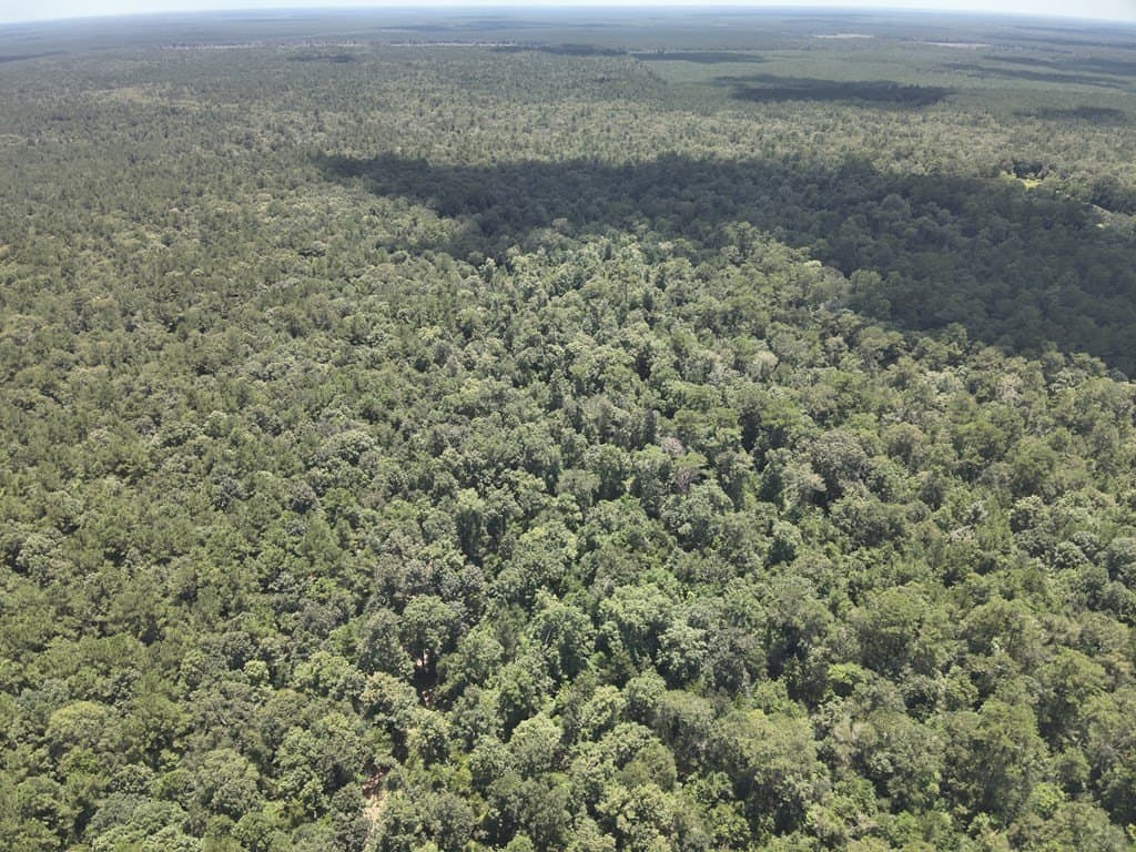 175 acres in Texas County - photo 5