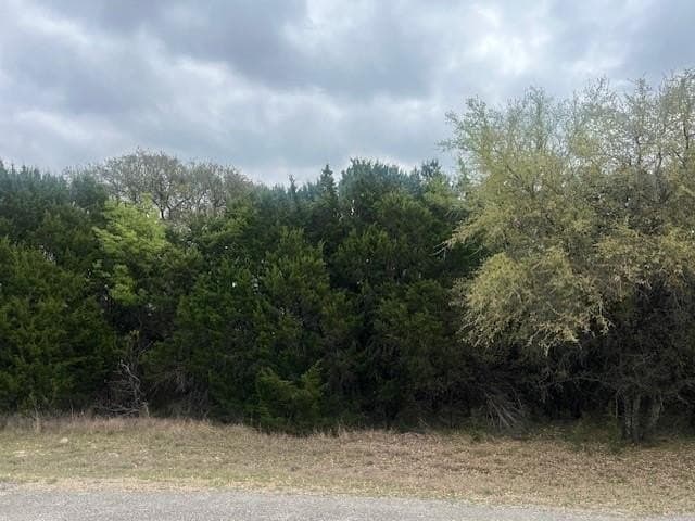 0.31 acres in Hill County gallery image 2