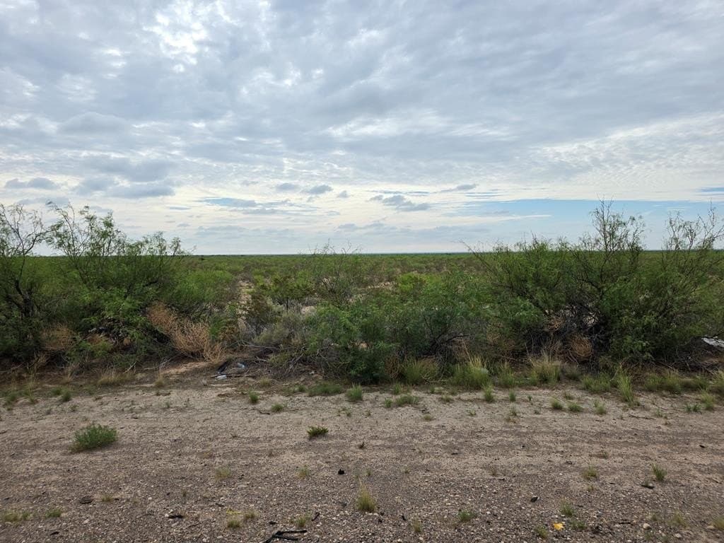 256.67 acres in Reeves County