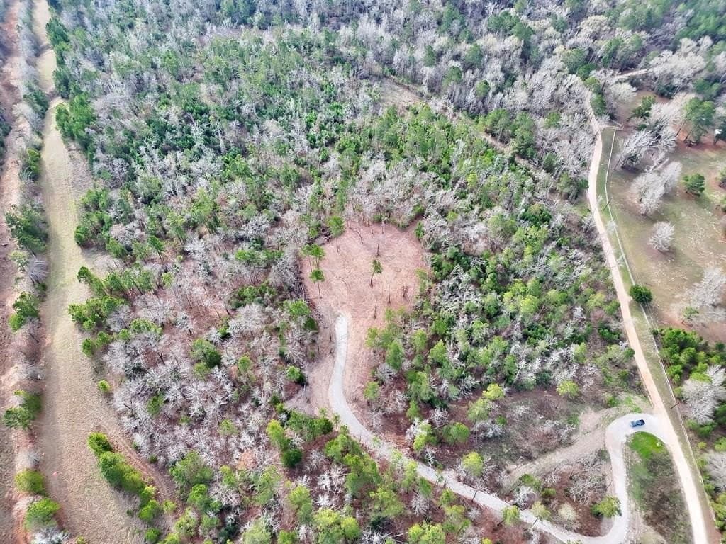 52.07 acres in ANDERSON County - photo 7