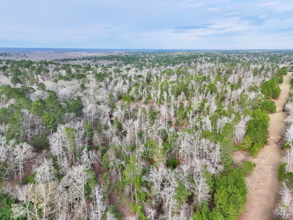 52.07 acres in ANDERSON County - photo 21