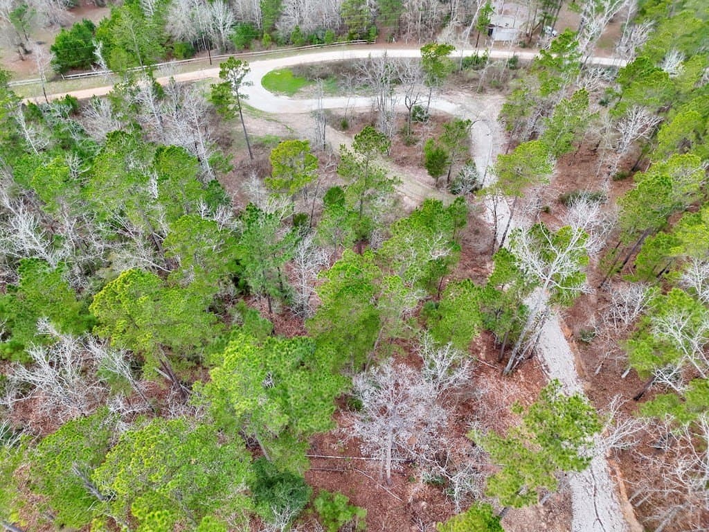 52.07 acres in ANDERSON County - photo 8