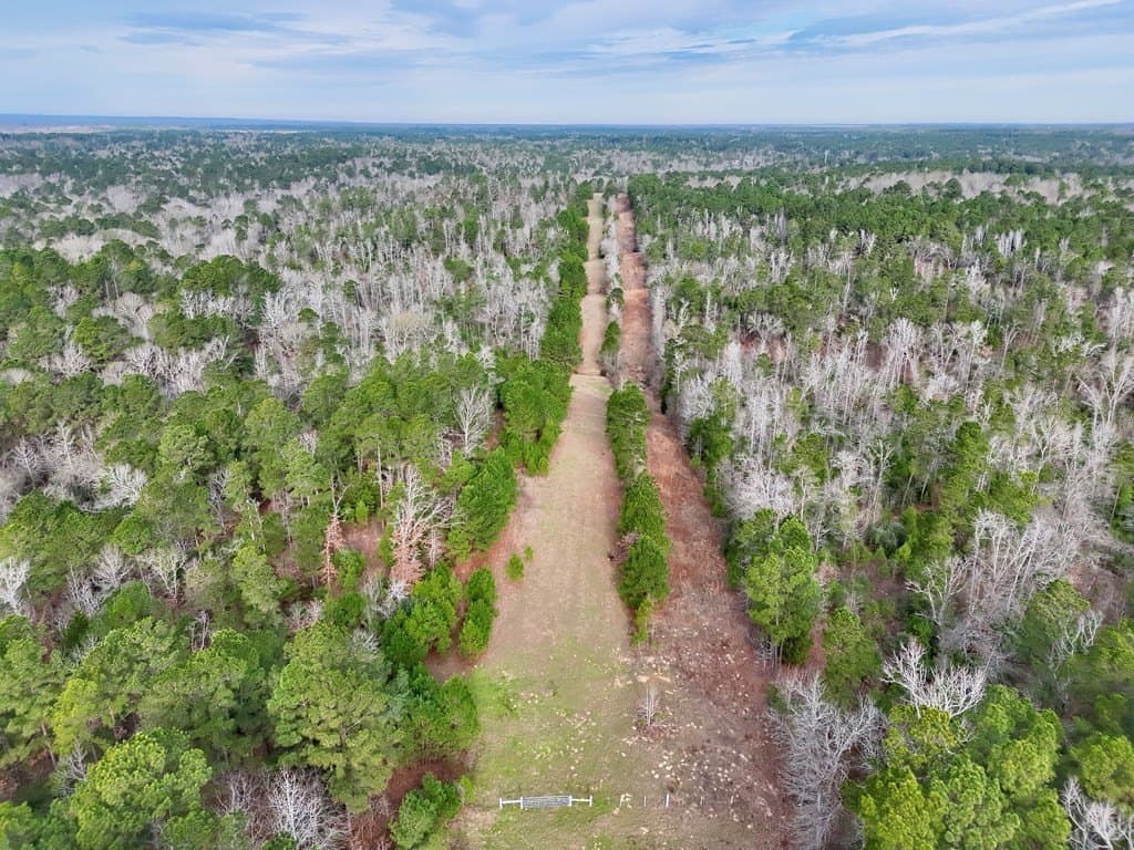 52.07 acres in ANDERSON County - photo 16