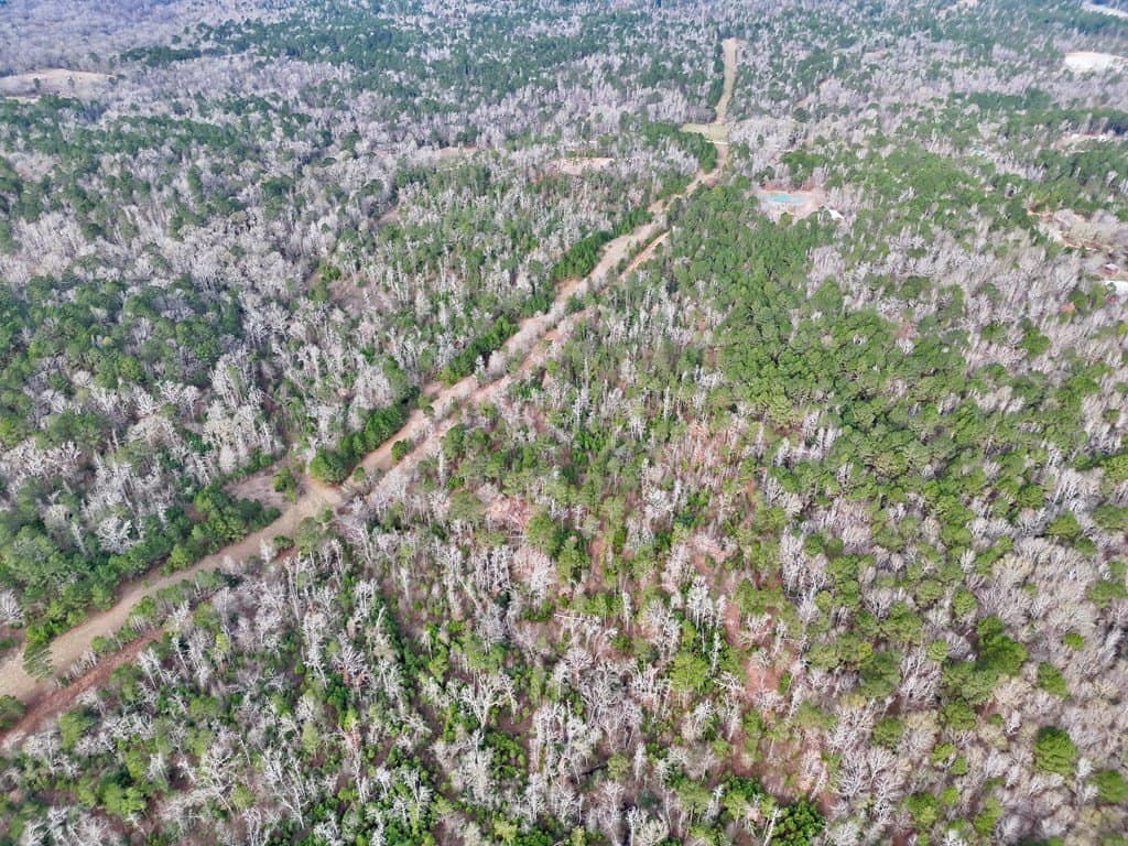 52.07 acres in ANDERSON County - photo 15