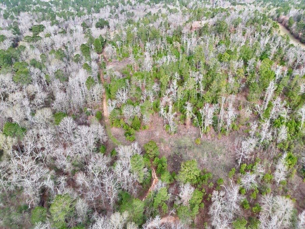 52.07 acres in ANDERSON County - photo 25