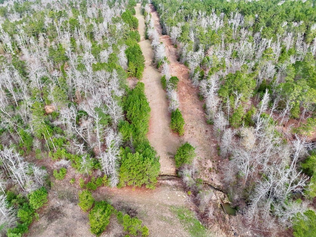 52.07 acres in ANDERSON County - photo 22