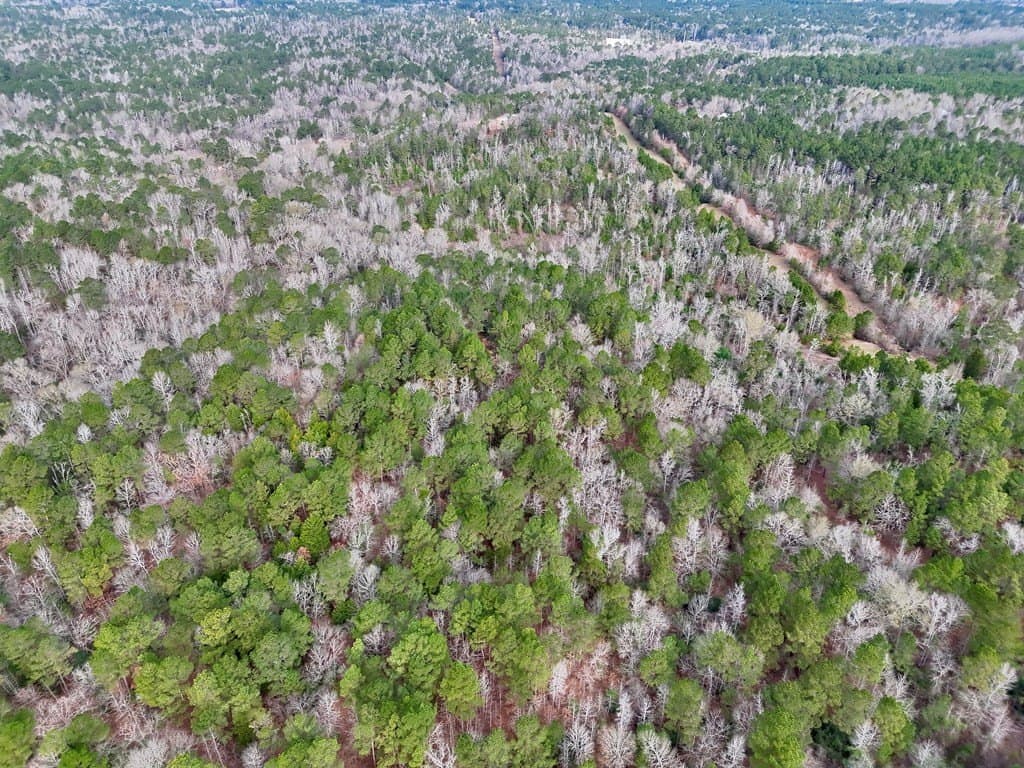 52.07 acres in ANDERSON County - photo 20