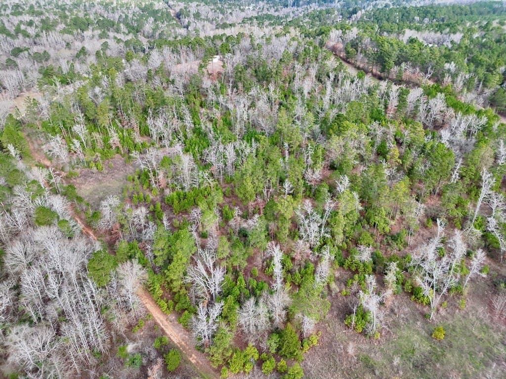 52.07 acres in ANDERSON County - photo 26