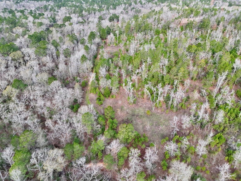 52.07 acres in ANDERSON County - photo 23