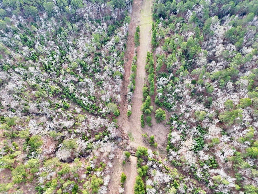 52.07 acres in ANDERSON County - photo 27