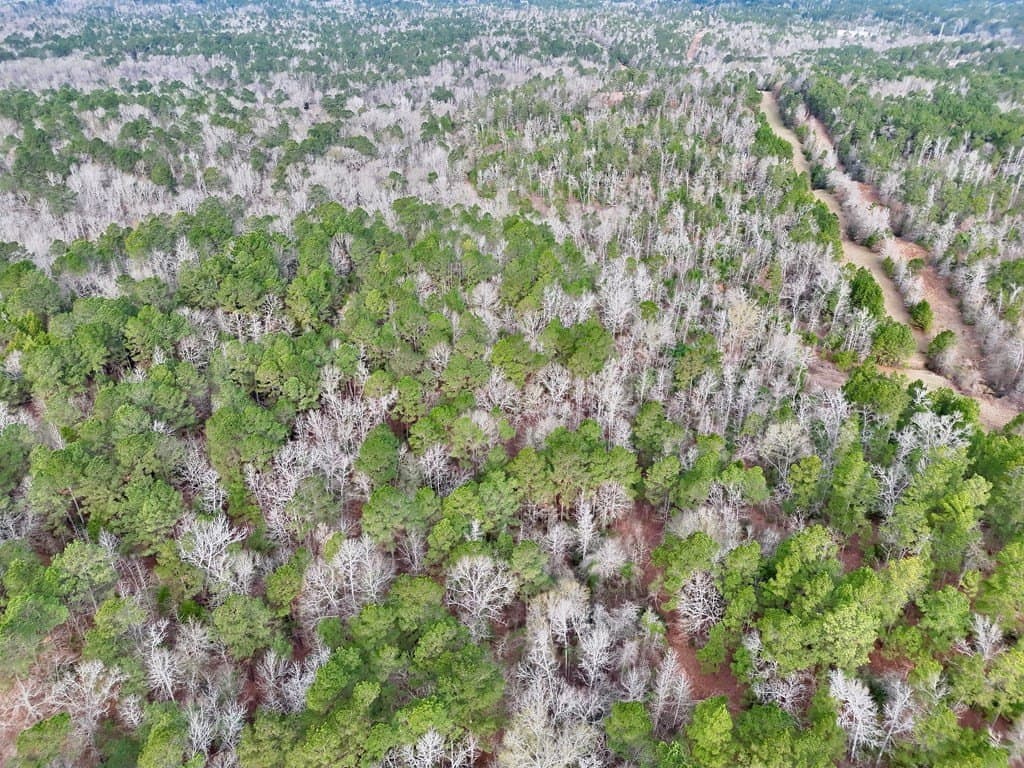 52.07 acres in ANDERSON County - photo 18