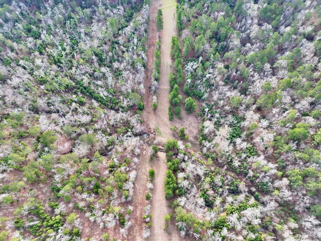52.07 acres in ANDERSON County - photo 24