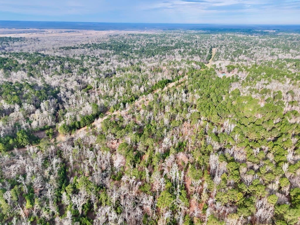 52.07 acres in ANDERSON County - photo 17