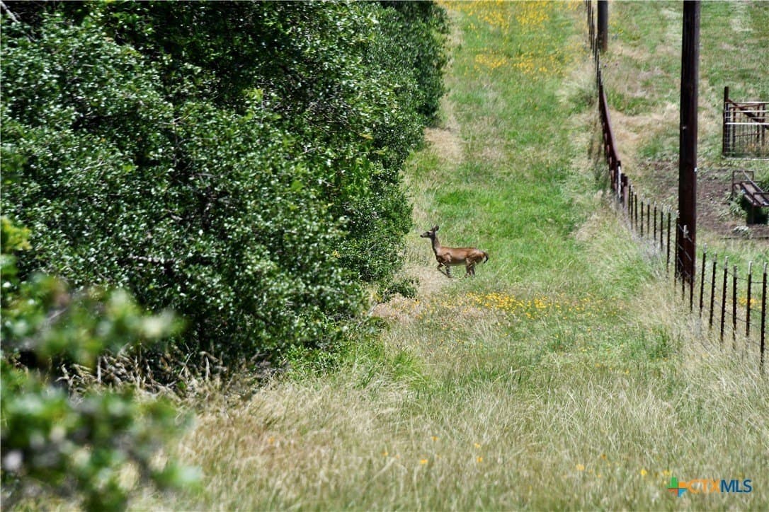 69.7 acres in Brown County - photo 38