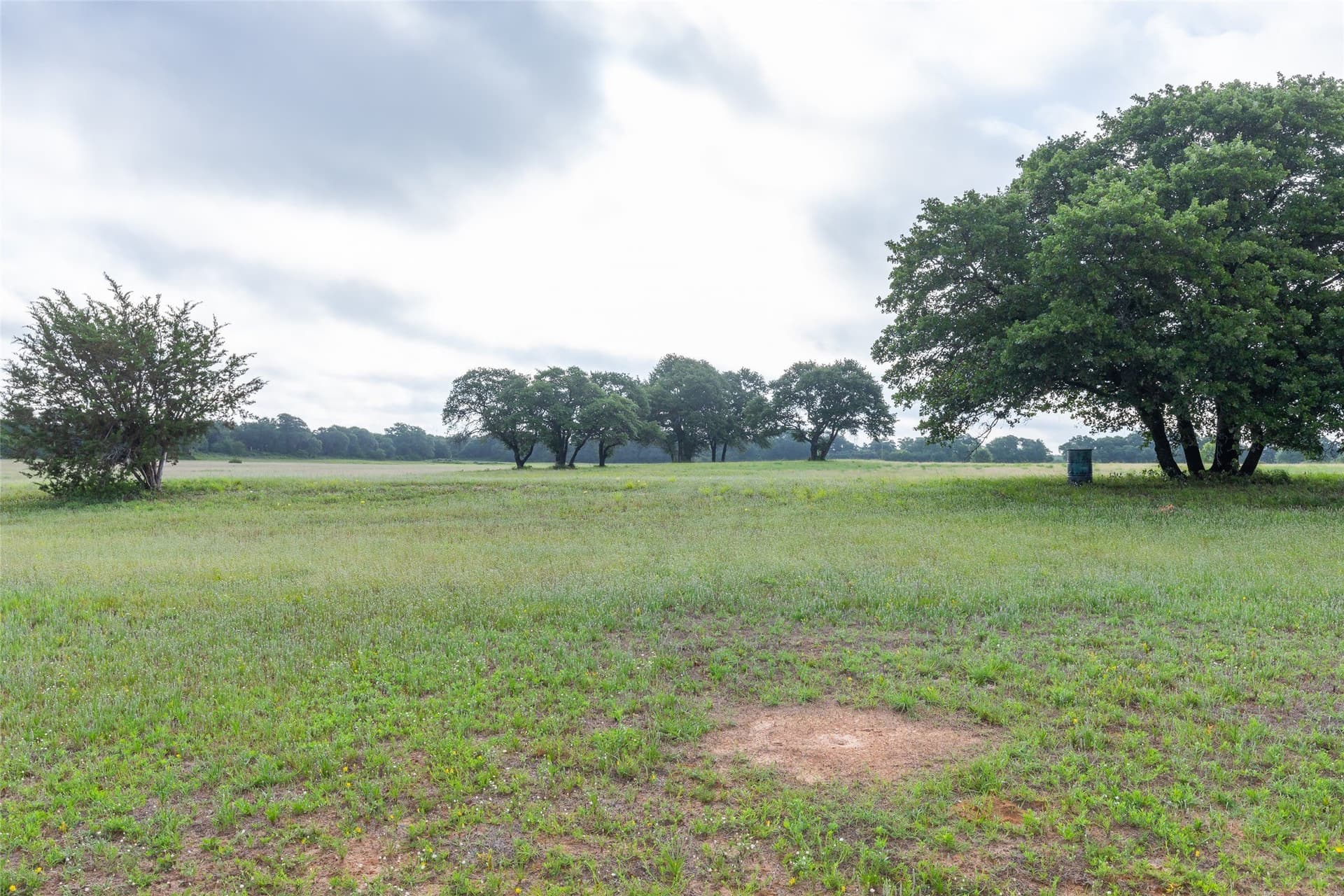 24.83 acres in Callahan County - photo 9