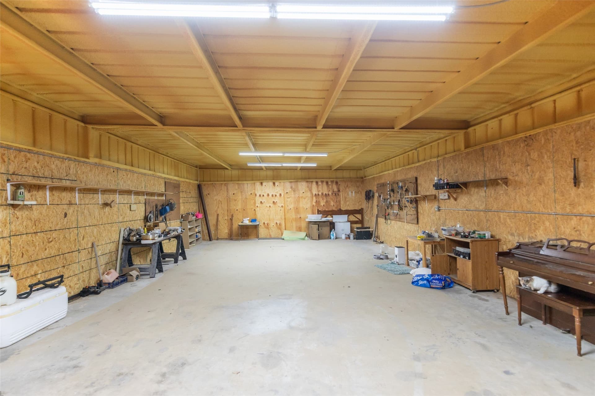 24.83 acres in Callahan County - photo 10
