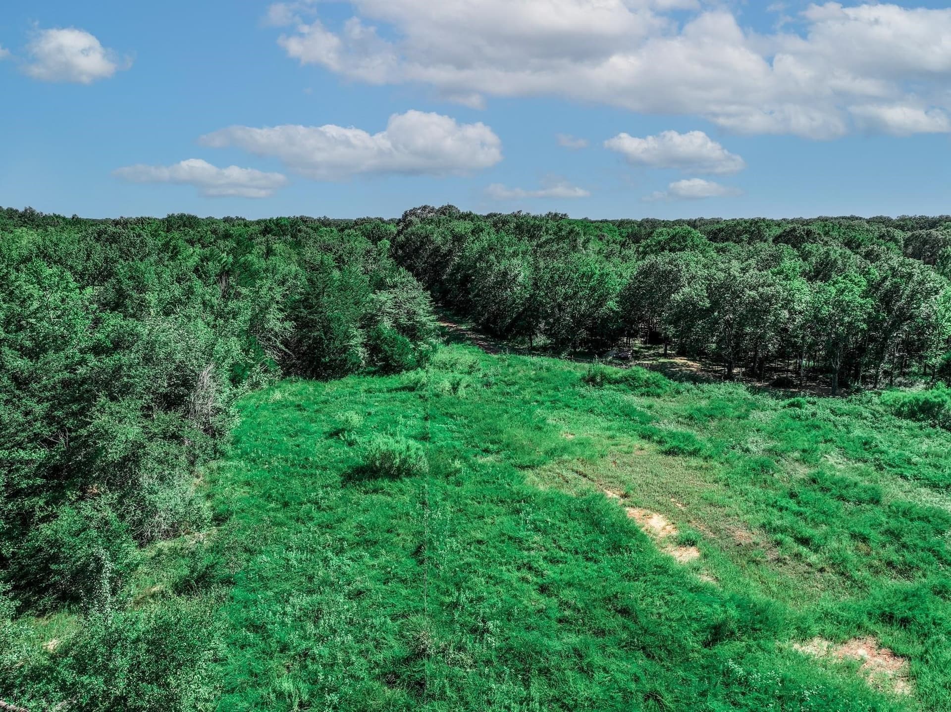 3.84 acres in Van Zandt County - photo 13