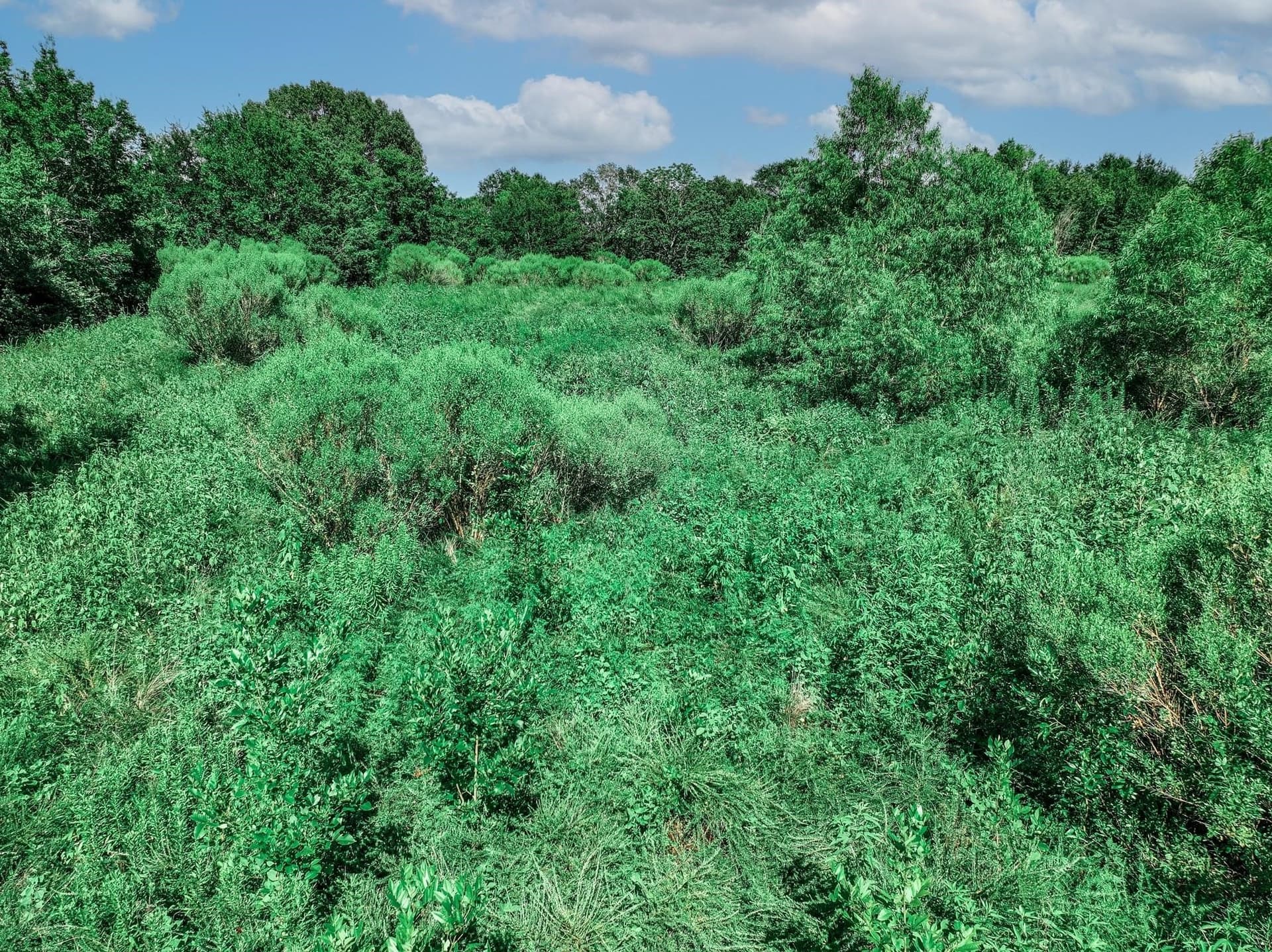 3.84 acres in Van Zandt County - photo 17