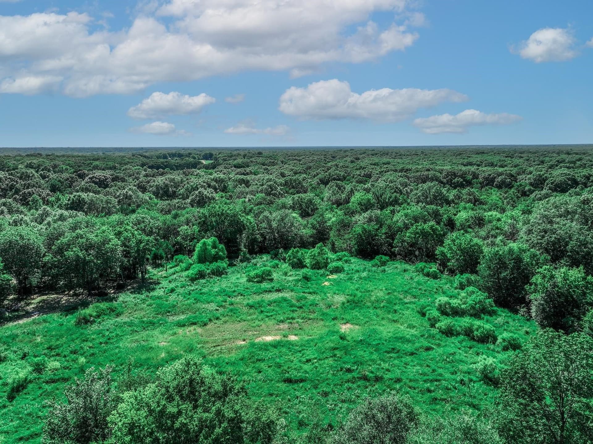 3.84 acres in Van Zandt County - photo 14