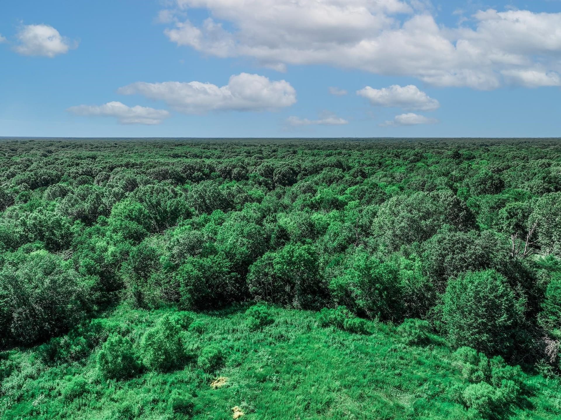 3.84 acres in Van Zandt County - photo 15