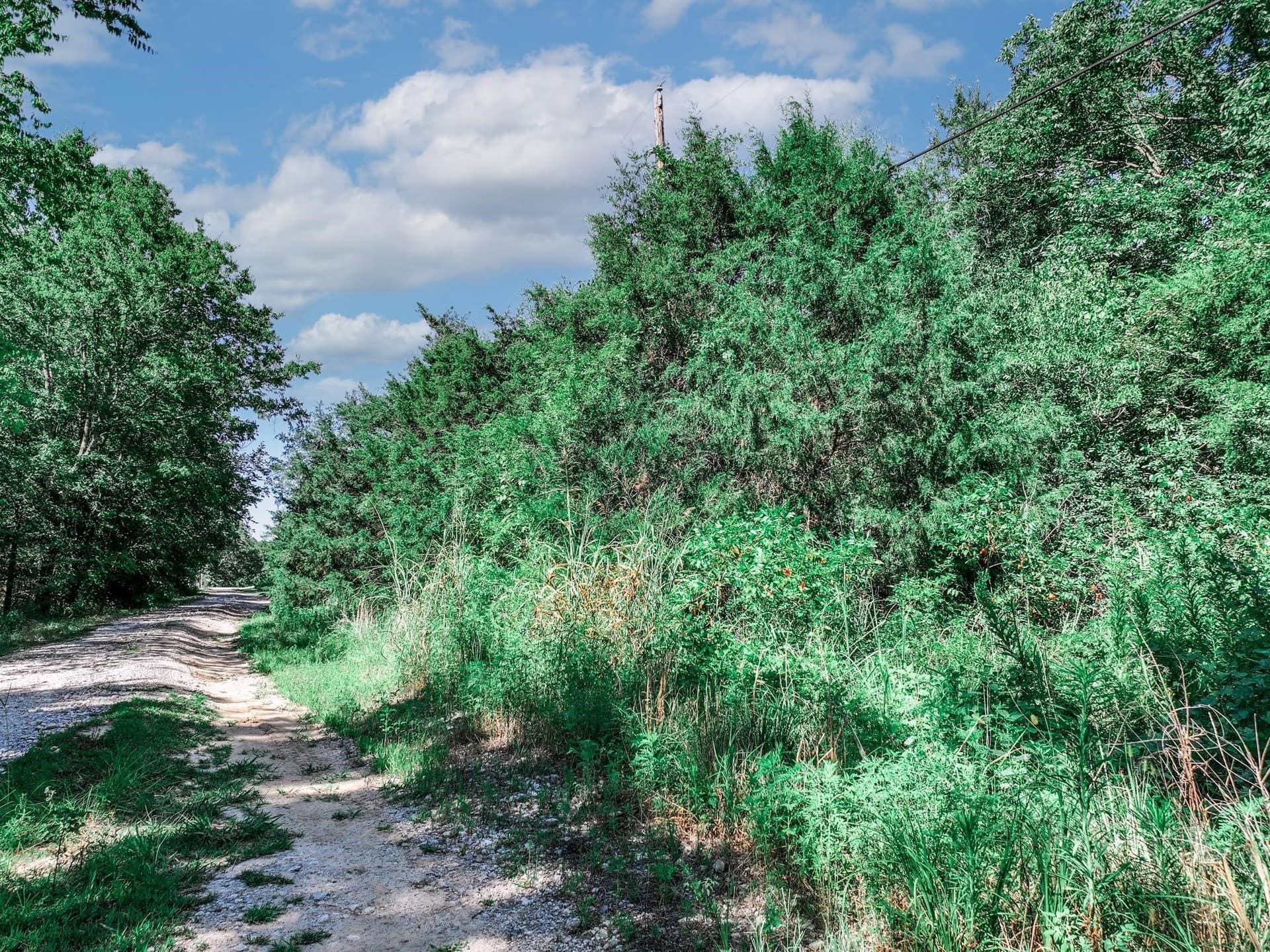 3.84 acres in Van Zandt County - photo 19