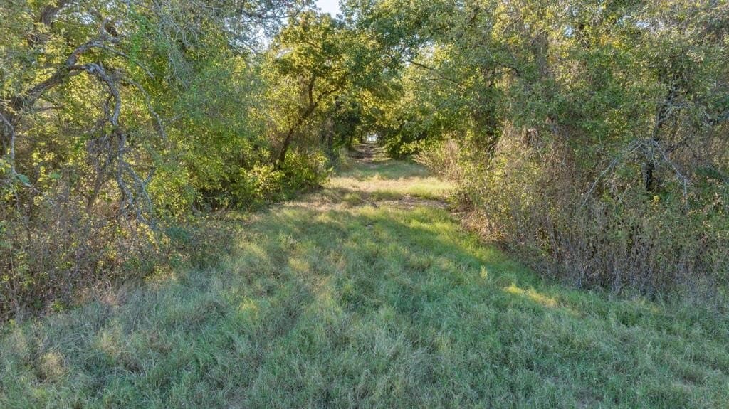 45 acres in Hill County gallery image 4
