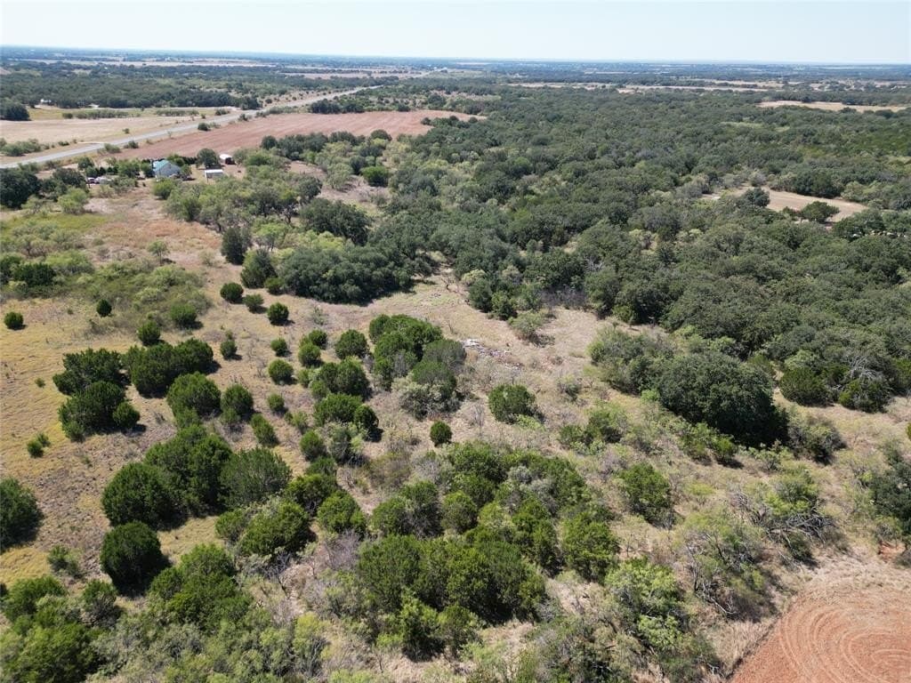 128 acres in Callahan County gallery image 3