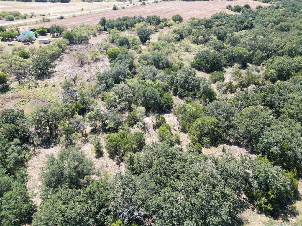 128 acres in Callahan County gallery image 4