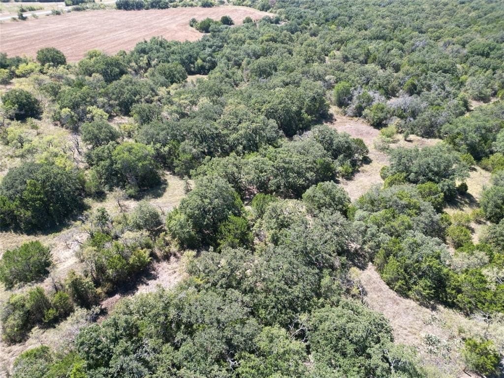 128 acres in Callahan County featured view