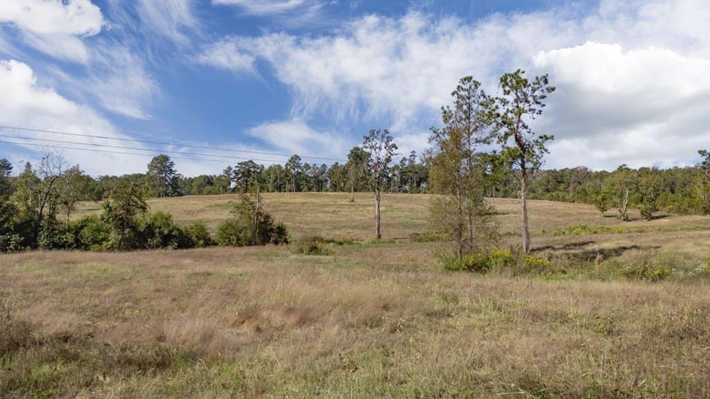 27.55 acres in Texas County featured view