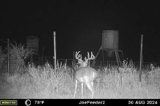 320 acres in Cottle County