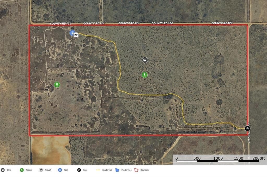 320 acres in Cottle County gallery image 2