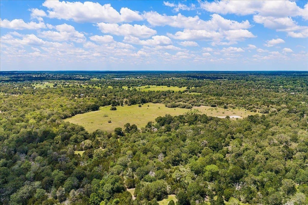 100.82 acres in Fayette County gallery image 3