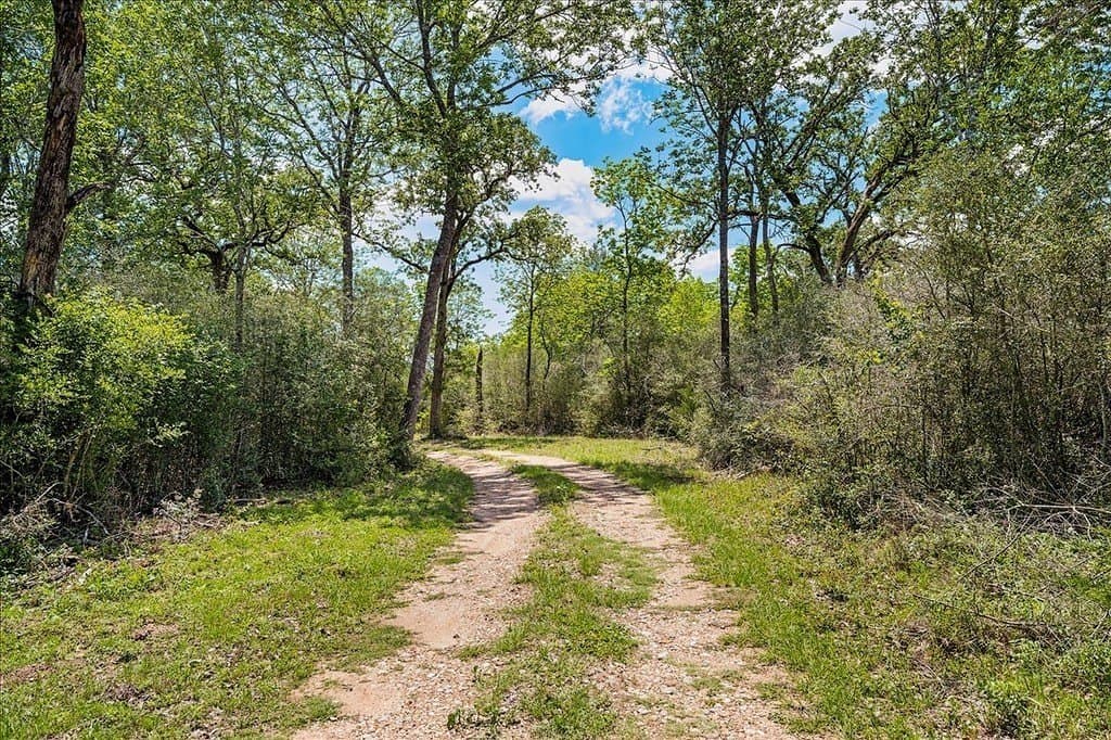 100.82 acres in Fayette County featured view