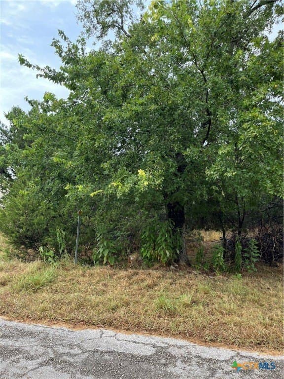 0.18 acres in Comal County gallery image 4