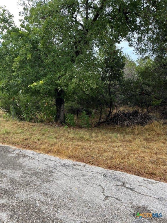 0.18 acres in Comal County featured view