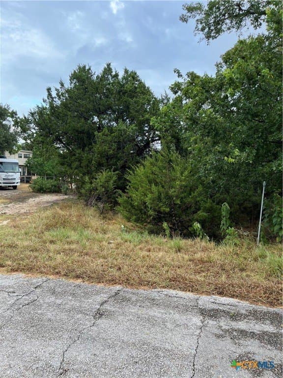 0.18 acres in Comal County gallery image 3