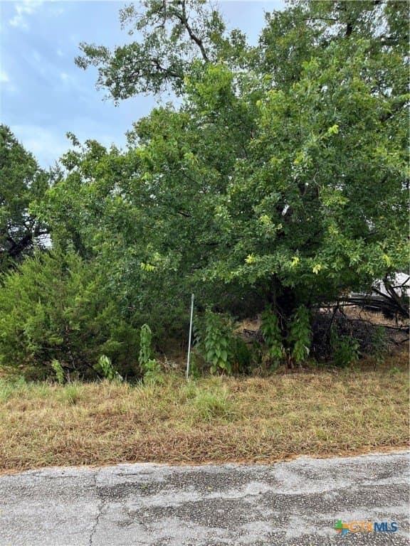 0.18 acres in Comal County gallery image 2
