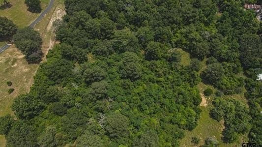 15 acres in Henderson County gallery image 2