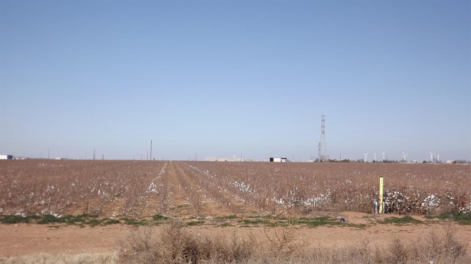 340 acres in Lubbock County - photo 3