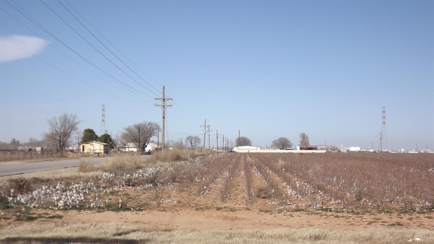340 acres in Lubbock County - photo 2
