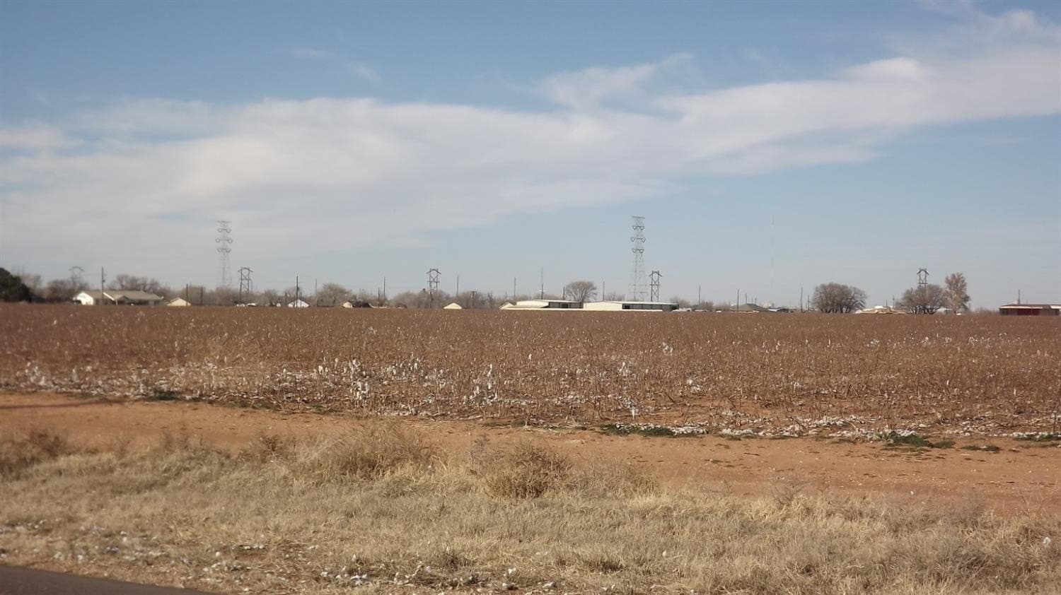 340 acres in Lubbock County - photo 4