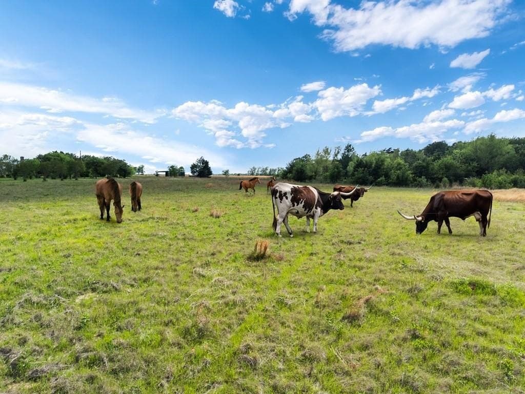 22.45 acres in Van Zandt County featured view