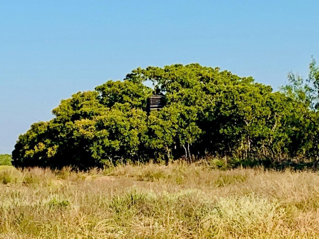 108 acres in Mitchell County gallery image 4