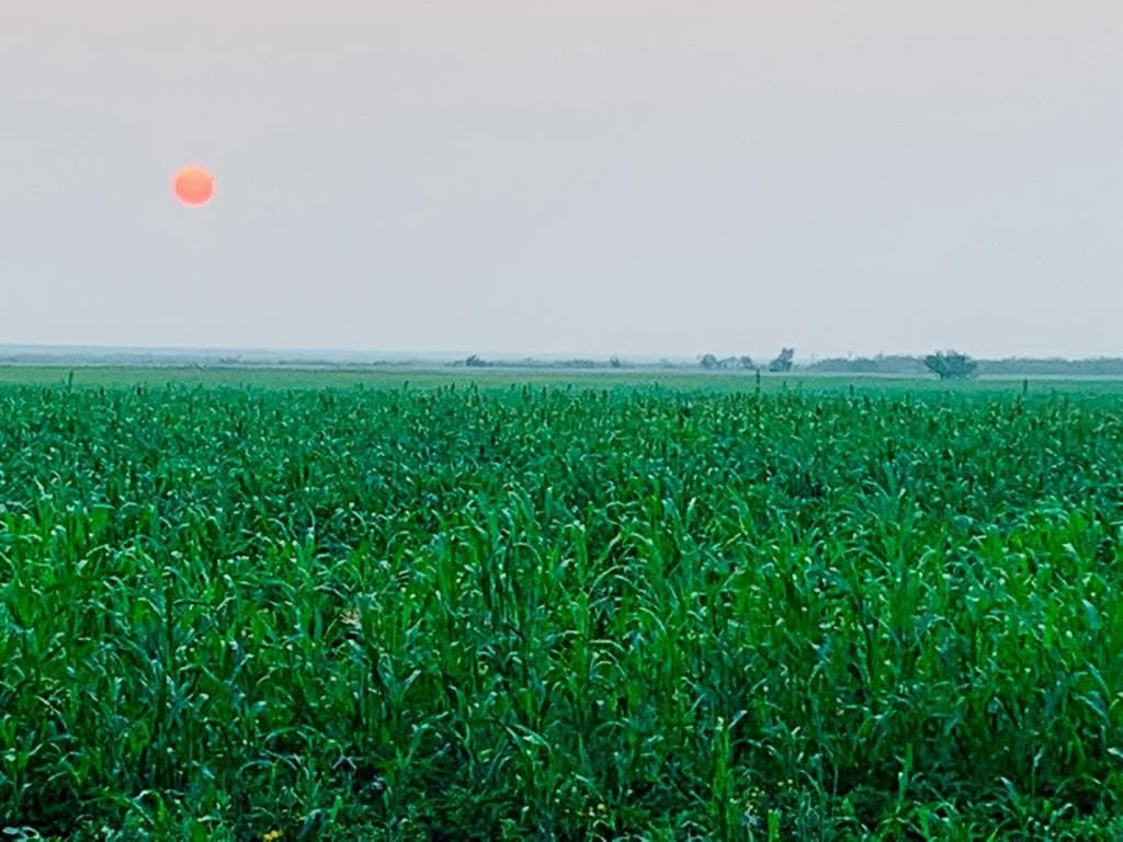 108 acres in Mitchell County featured view