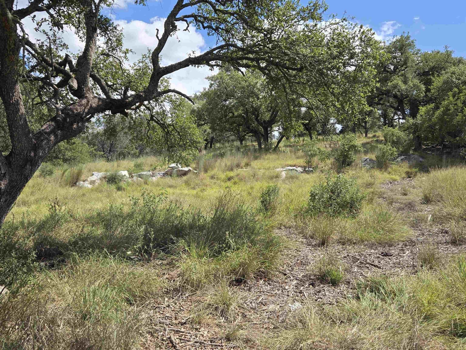 0.75 acres in Burnet County - photo 7