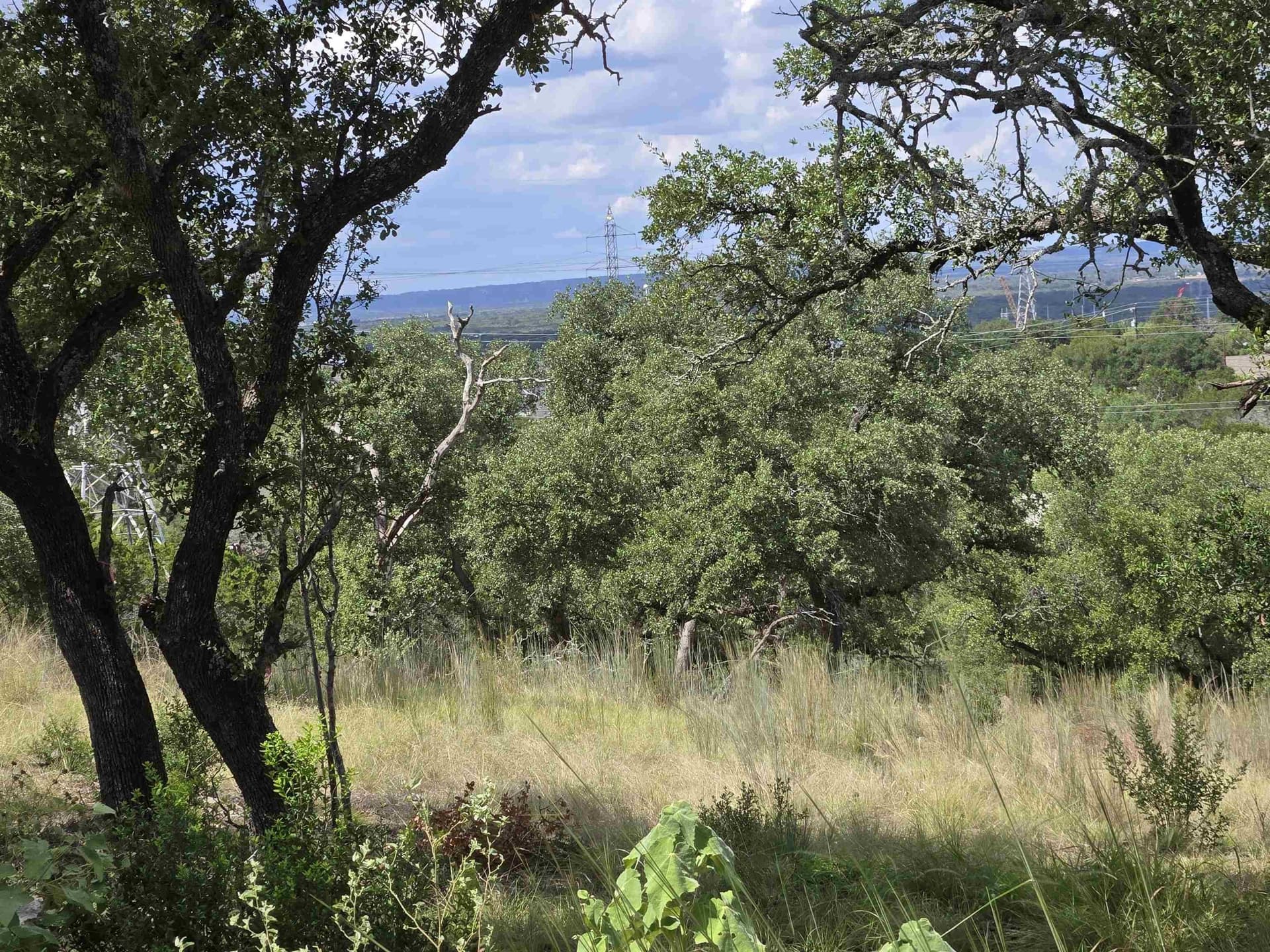 0.75 acres in Burnet County gallery image 4