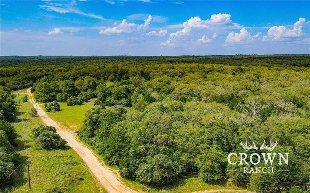 1,057 acres in Burleson County - photo 9